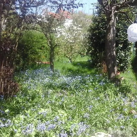 Maison Avec Jardin 6 A 8 Personnes Boulogne-sur-Mer