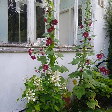 Dom wakacyjny Maison Avec Jardin 6 A 8 Personnes