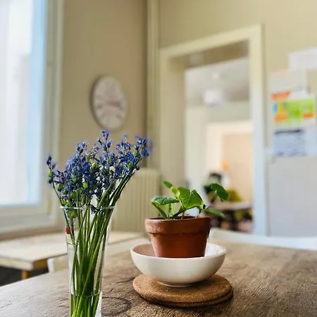 Maison Avec Jardin 6 A 8 Personnes Boulogne-sur-Mer